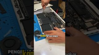 Thumbnail of post image 147