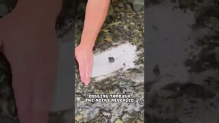 Thumbnail of post image 144