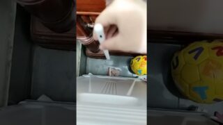 Thumbnail of post image 137