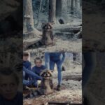 Thumbnail of related posts 126