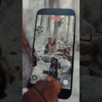 Thumbnail of related posts 148