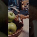 Thumbnail of related posts 108