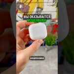 Thumbnail of related posts 177