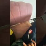 Thumbnail of related posts 158