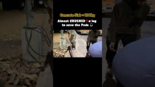 Thumbnail of post image 199