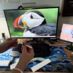 Thumbnail of new posts 018