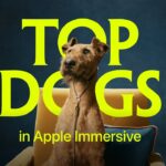 Thumbnail of related posts 041