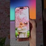 Thumbnail of related posts 004