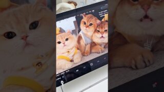 Thumbnail of post image 112