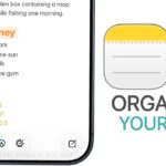 Thumbnail of related posts 196