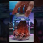 Thumbnail of related posts 135