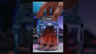 Thumbnail of post image 032