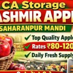 Thumbnail of related posts 174