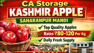 Thumbnail of post image 013