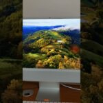 Thumbnail of new posts 028