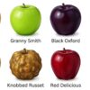 Thumbnail of related posts 072