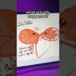 Thumbnail of new posts 065