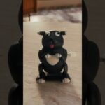 Thumbnail of new posts 054