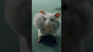 Thumbnail of post image 020