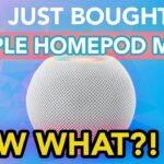 Thumbnail of new posts 028