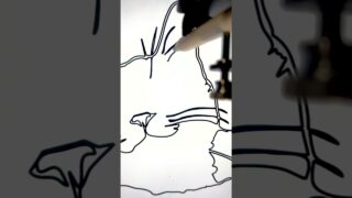 Thumbnail of post image 010