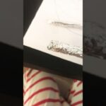 Thumbnail of new posts 050