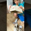 Thumbnail of related posts 096