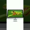 Thumbnail of related posts 080