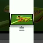 Thumbnail of new posts 118