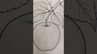 Thumbnail of post image 029