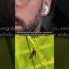 Thumbnail of related posts 160