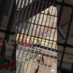 Thumbnail of new posts 121