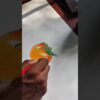 Thumbnail of new posts 066