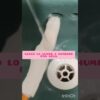 Thumbnail of related posts 104