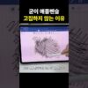 Thumbnail of new posts 093
