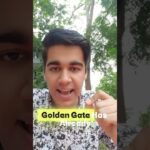 Thumbnail of new posts 112