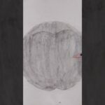 Thumbnail of new posts 130