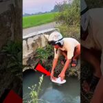 Thumbnail of new posts 031