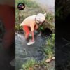 Thumbnail of new posts 179