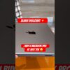 Thumbnail of new posts 056