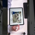 Thumbnail of related posts 064