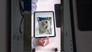 Thumbnail of post image 157