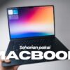 Thumbnail of new posts 133
