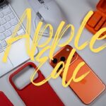 Thumbnail of related posts 121