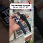 Thumbnail of related posts 058