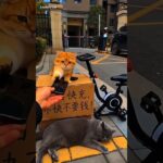 Thumbnail of new posts 064