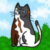 Thumbnail of related posts 120