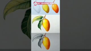 Thumbnail of post image 053