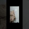 Thumbnail of new posts 149