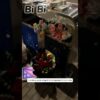 Thumbnail of new posts 047